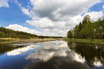 Kompleksowy projekt adaptacji lasów i leśnictwa